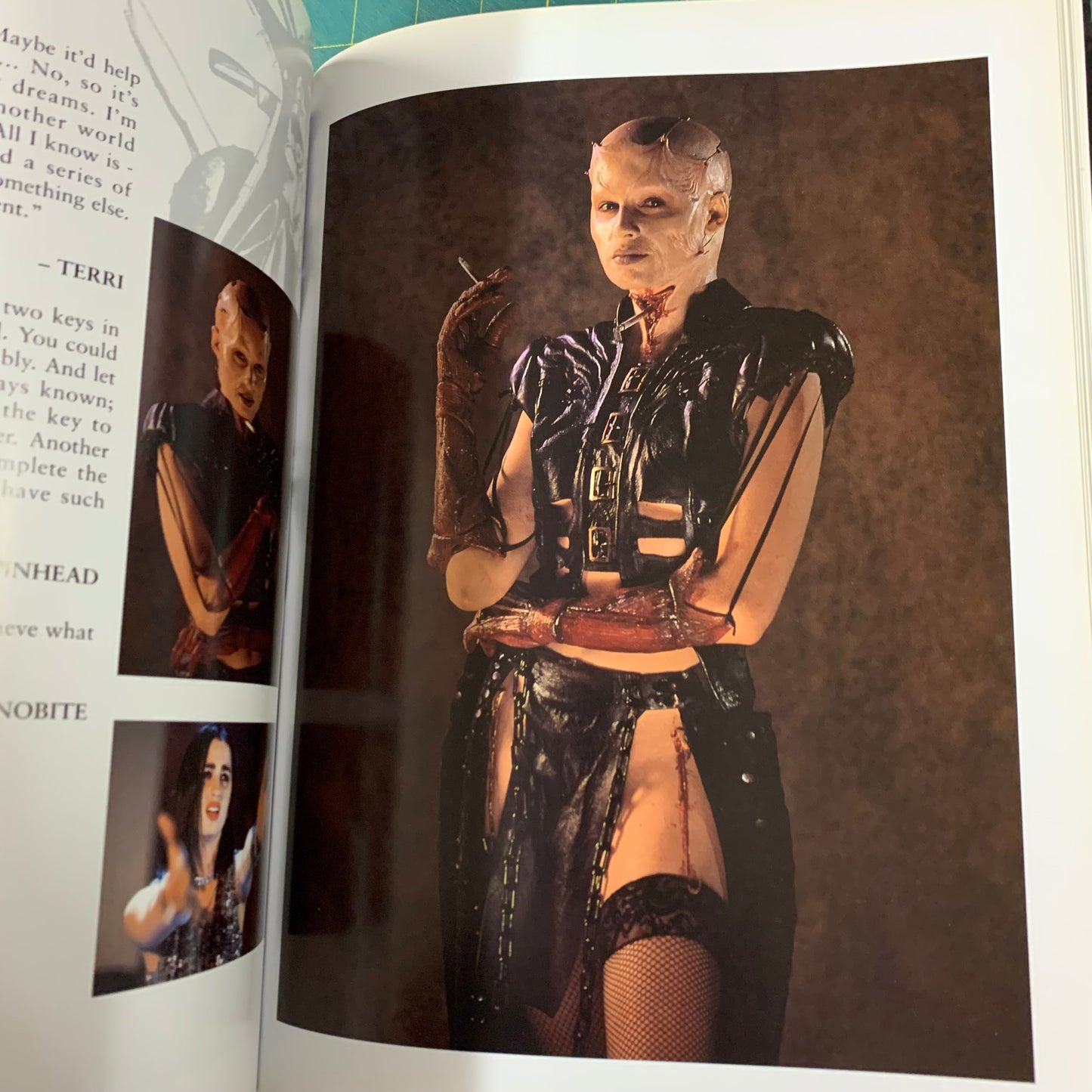 The Hellraiser chronicles