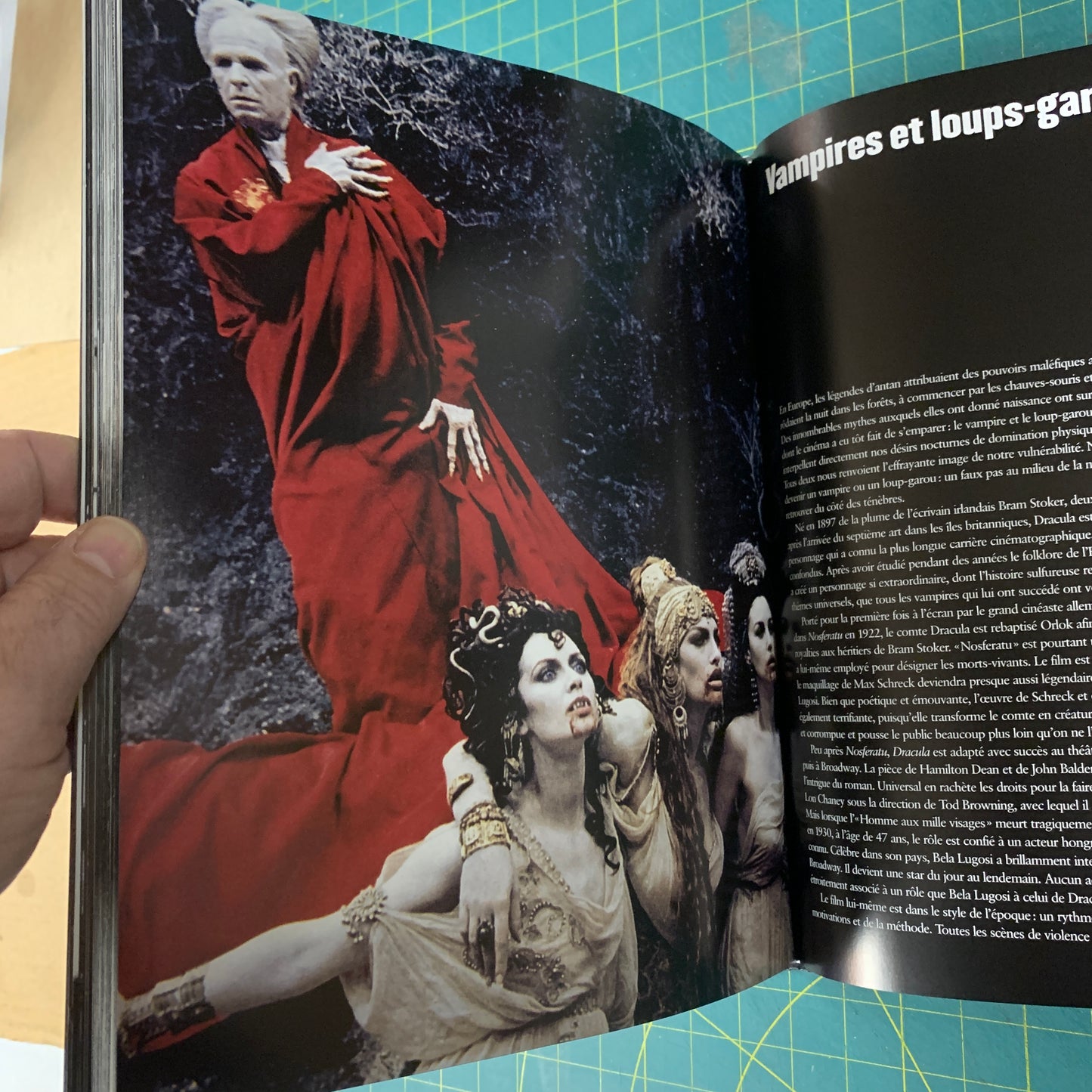 Le cinéma d’horreur