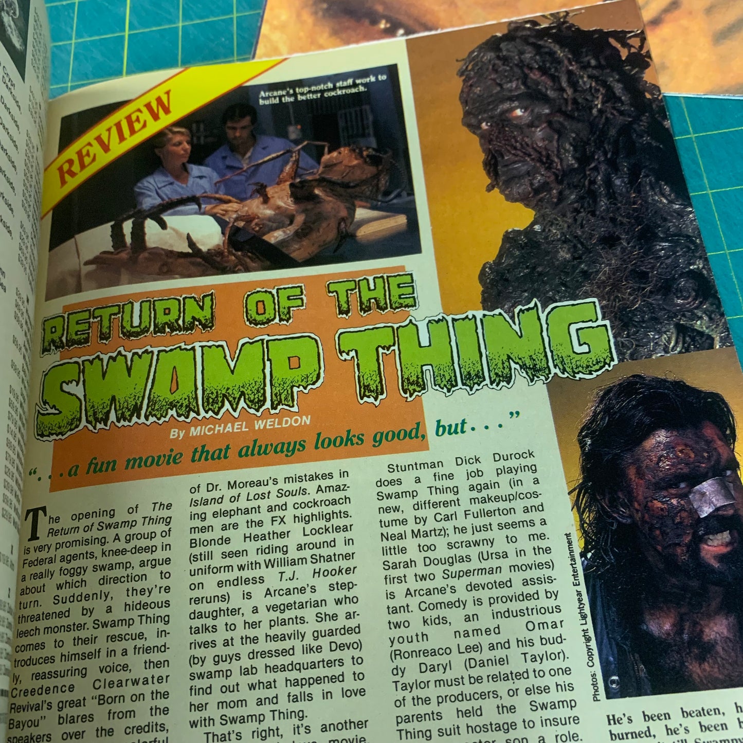 GoreZone no. 8
