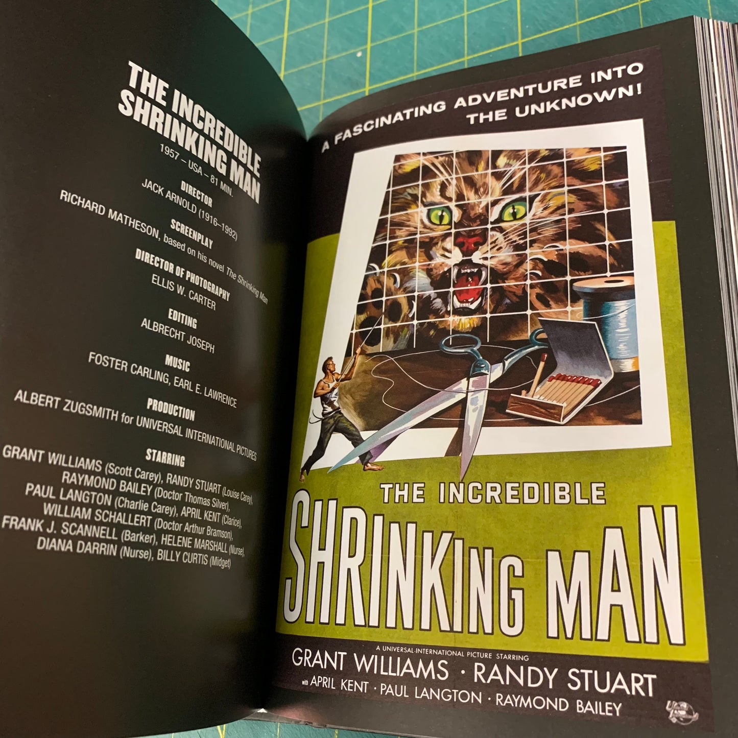 Horror Cinema — The Best Scary Movies of all Time