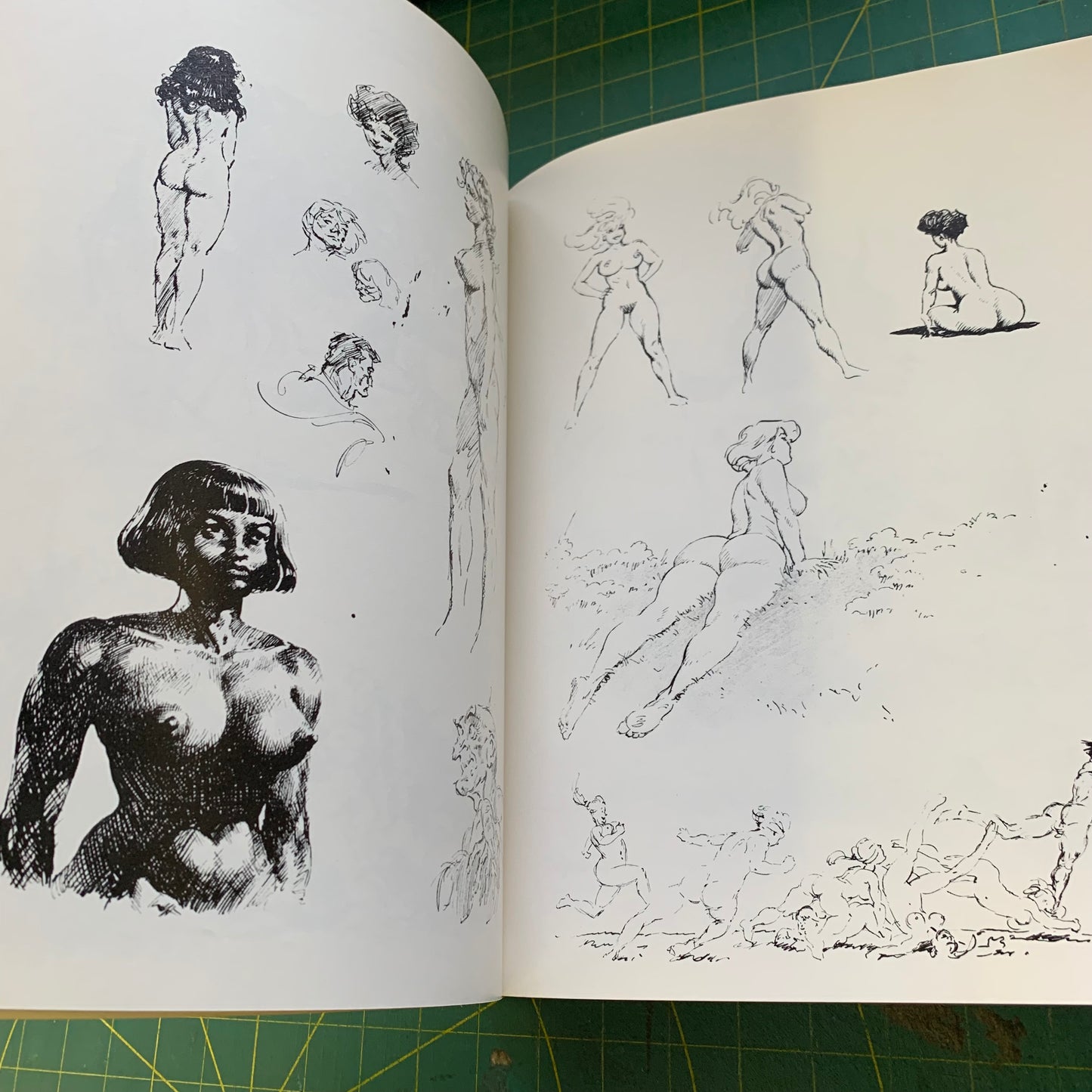 The Fantastic Art of Frank Frazetta — Book 3