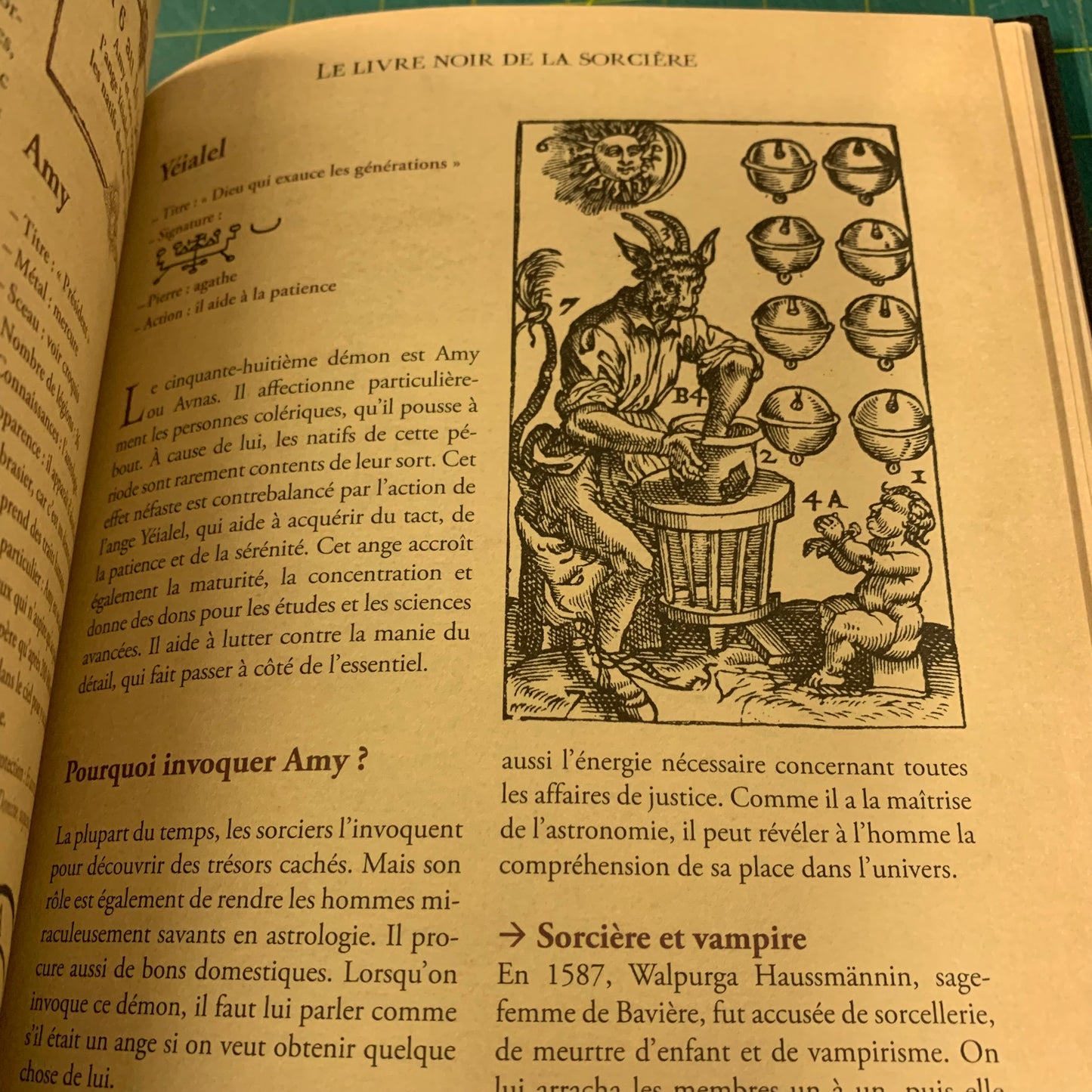 Le Livre Noir de la Sorcière