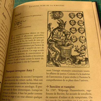 Le Livre Noir de la Sorcière