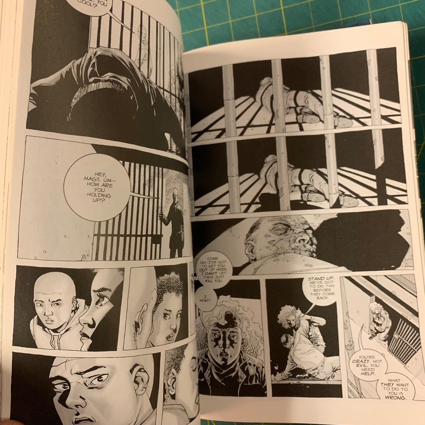 The Walking Dead — Volume 1-2-3