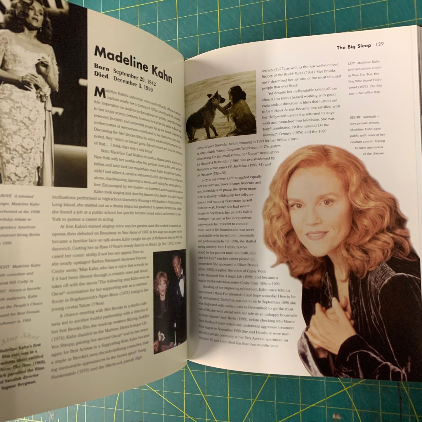 Cut! – Hollywood murders, accidents and other tragedies