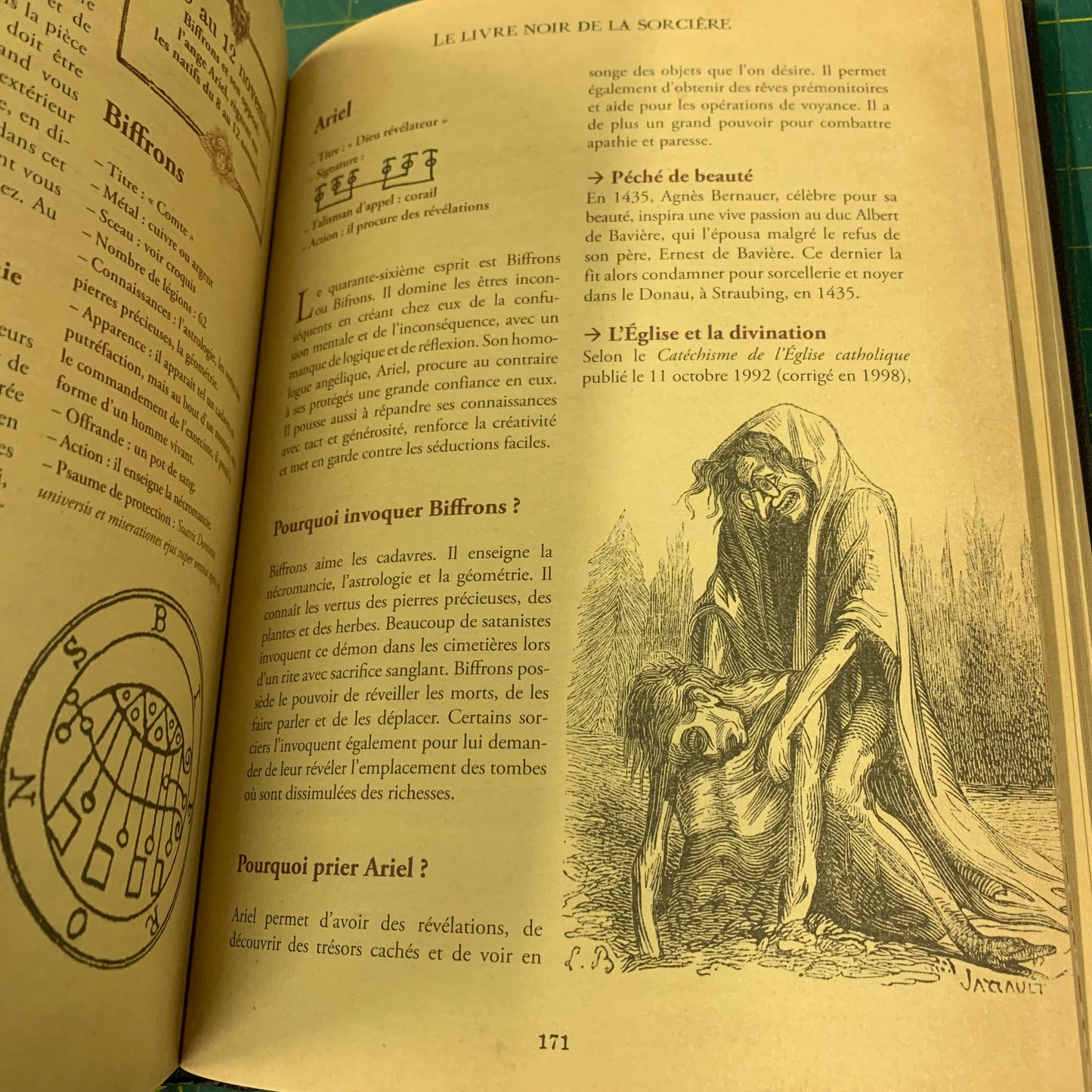 Le Livre Noir de la Sorcière