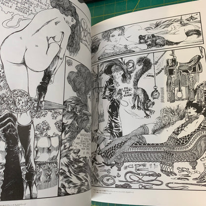 Dark and fetish art