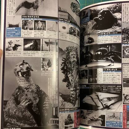 Mook Ultra Q - volume 6