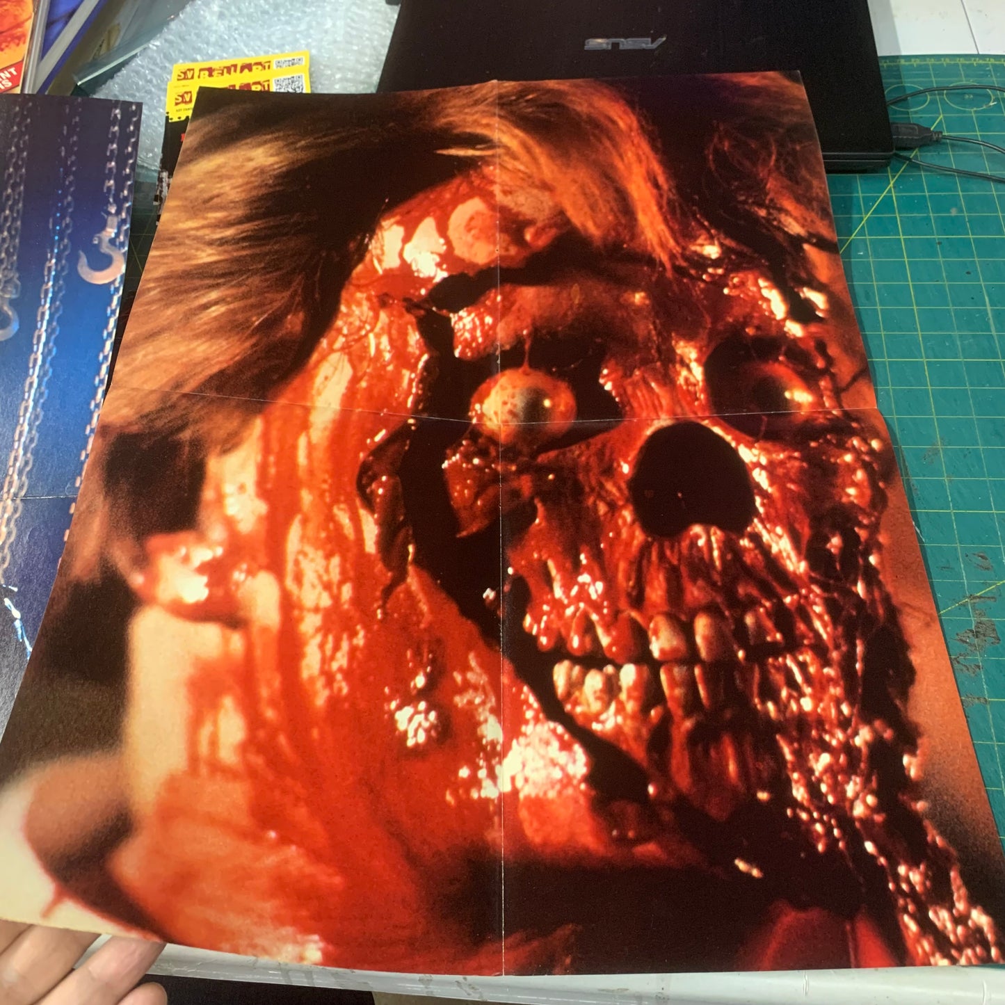 GoreZone no. 5