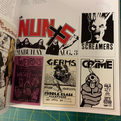 Design Und Punk (German edition The Art of Punk)