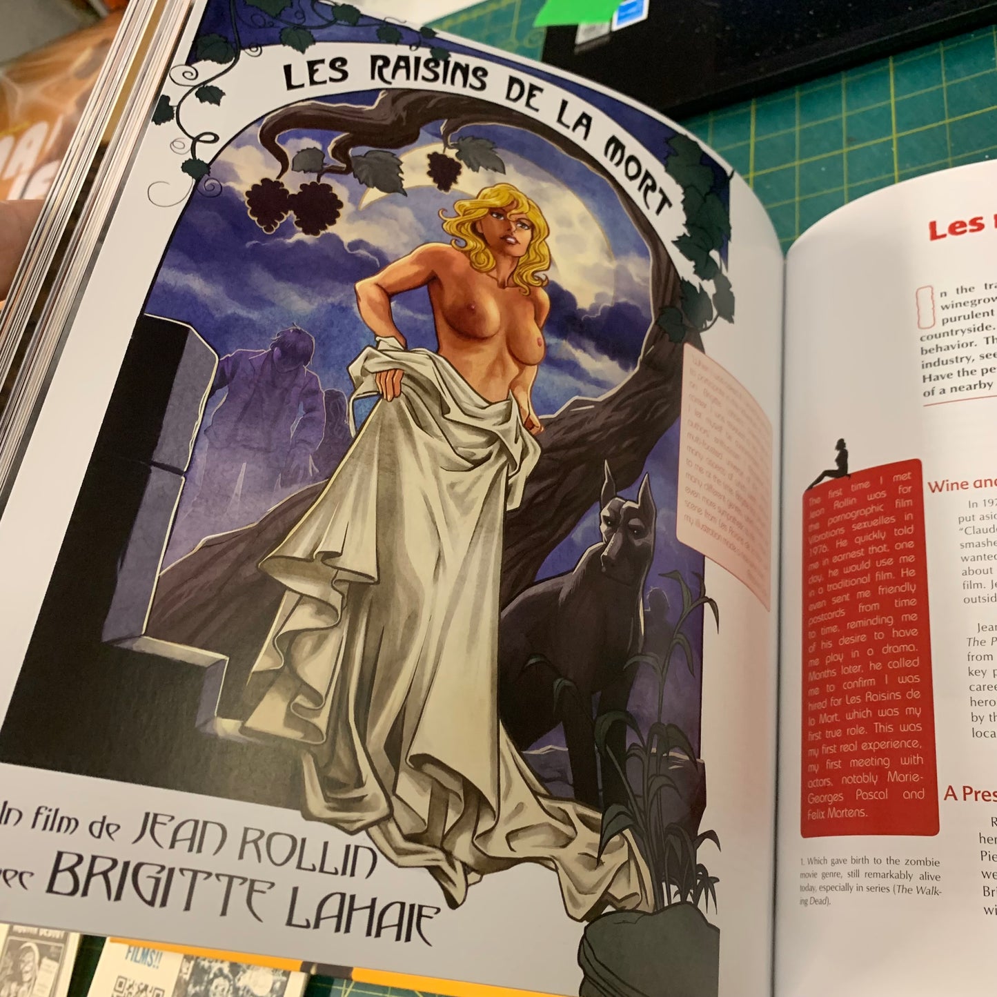 The Cult Films of Brigitte Lahaie