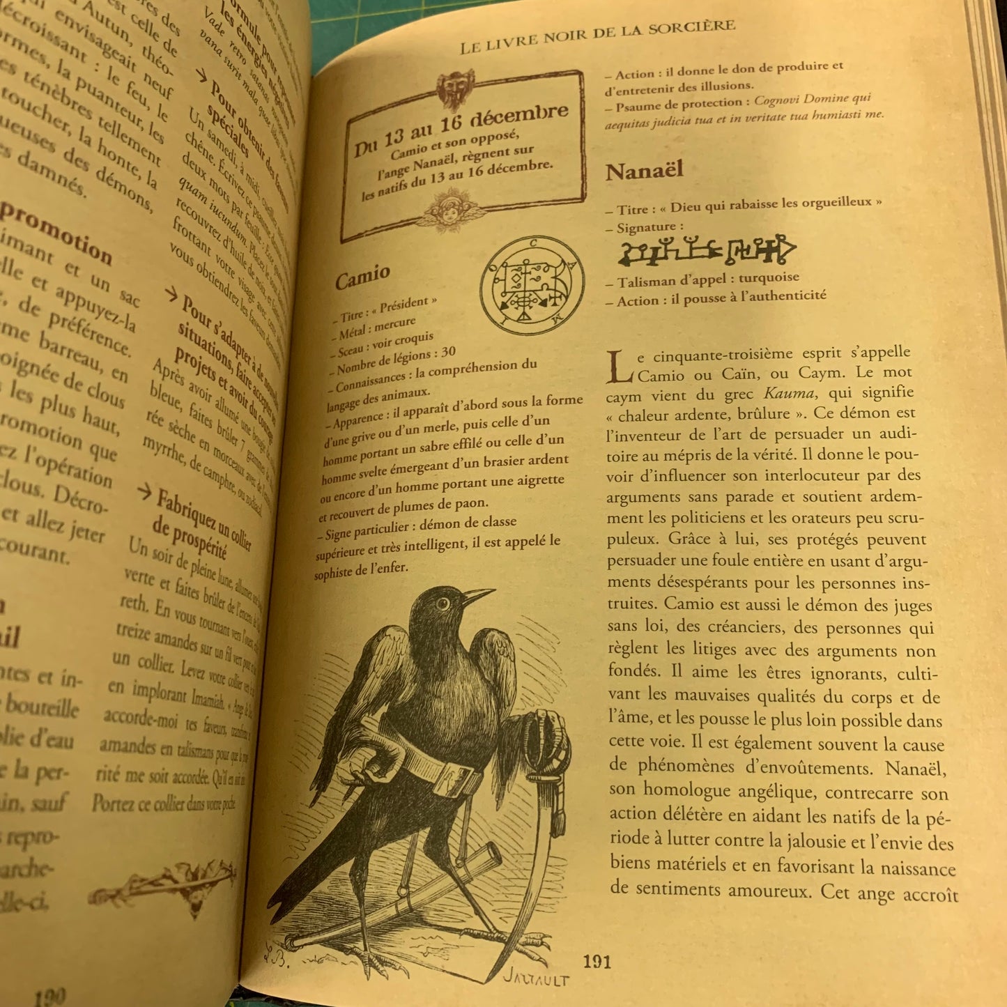 Le Livre Noir de la Sorcière