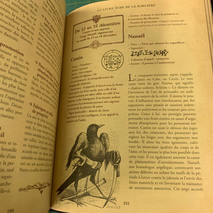 Le Livre Noir de la Sorcière