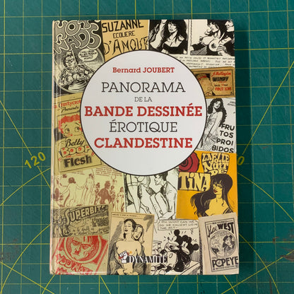 Panorama de la bande dessinée érotique clandestine