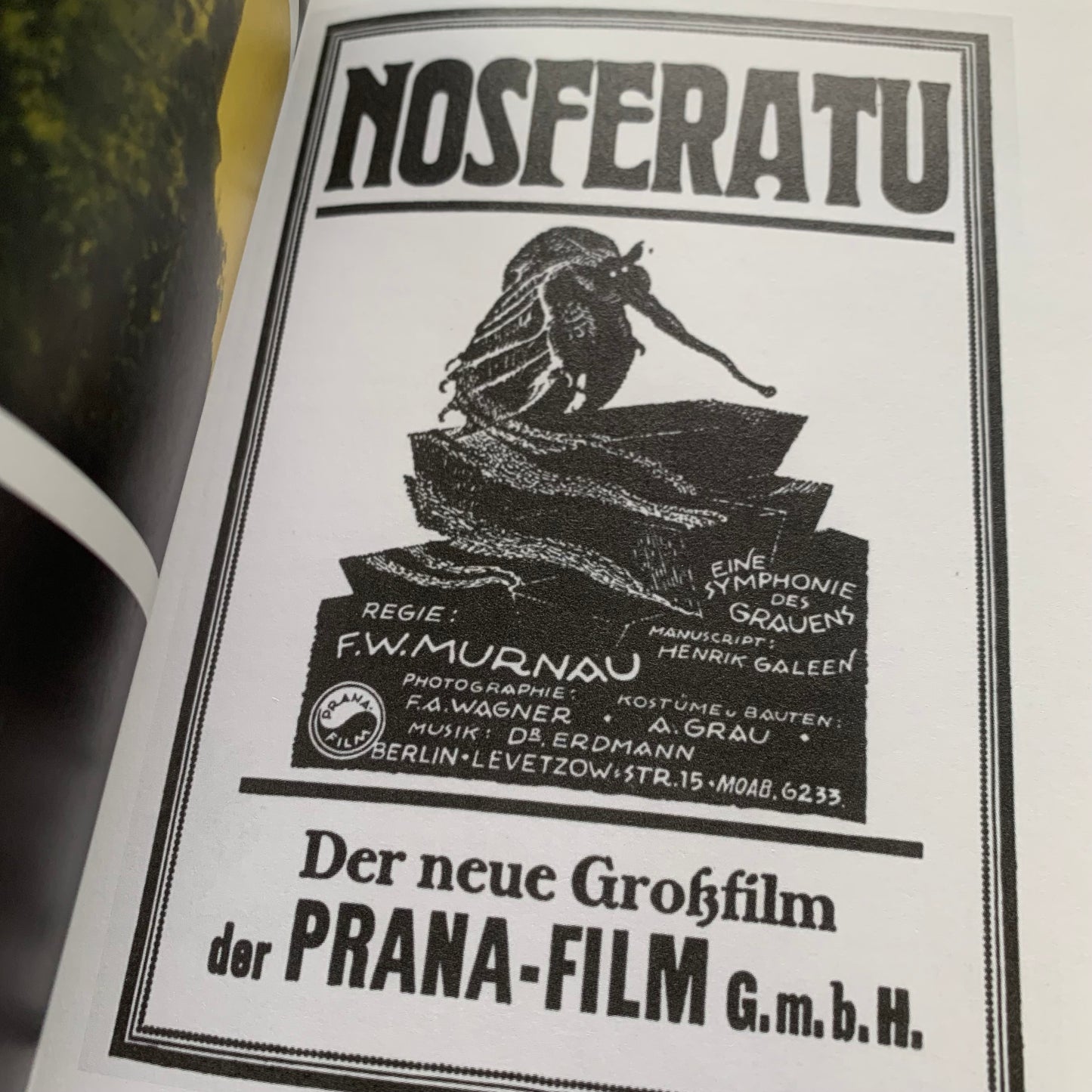 Nosferatu: Eine Symphonie des Grauens