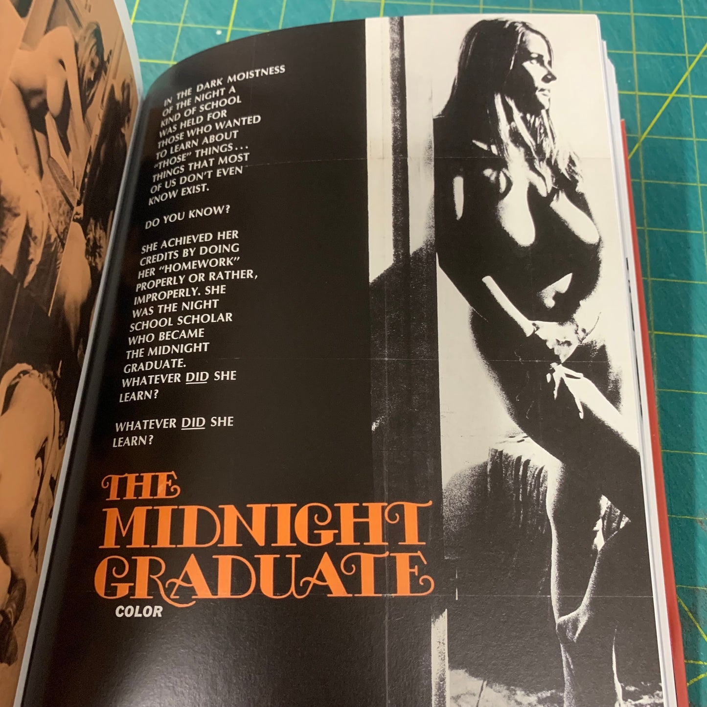 X-rated: Adult Movie Posters of the 60s and 70s