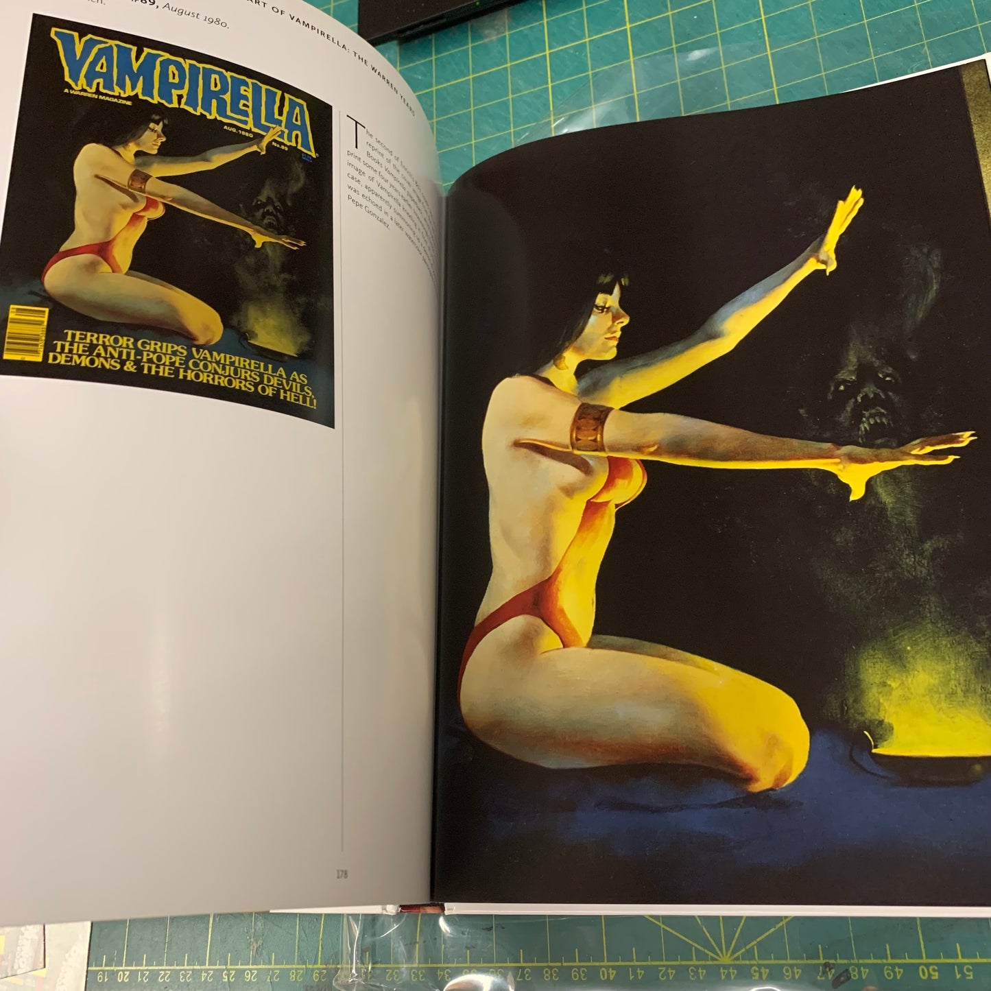 The Art of Vampirella - The Warren Years