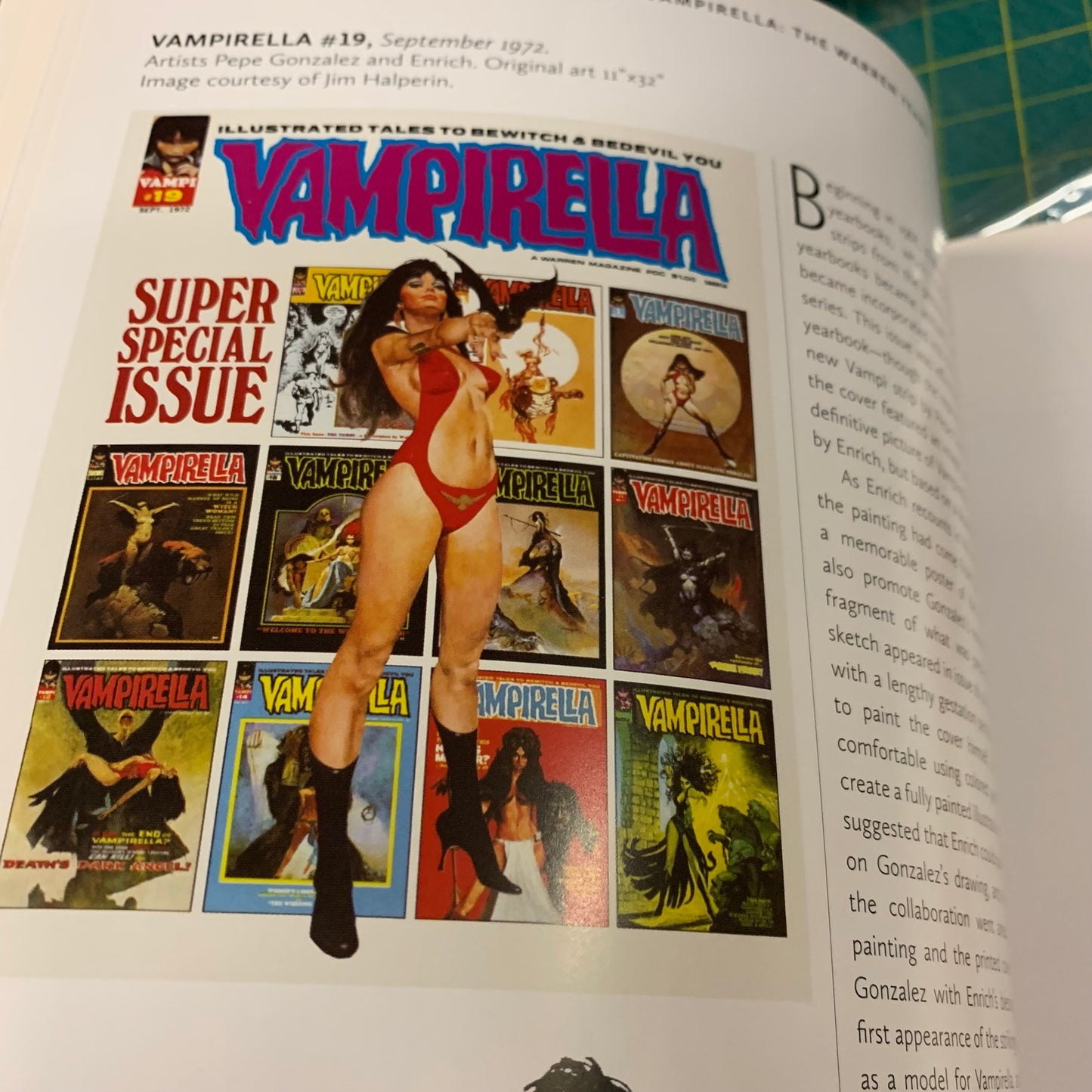 The Art of Vampirella - The Warren Years