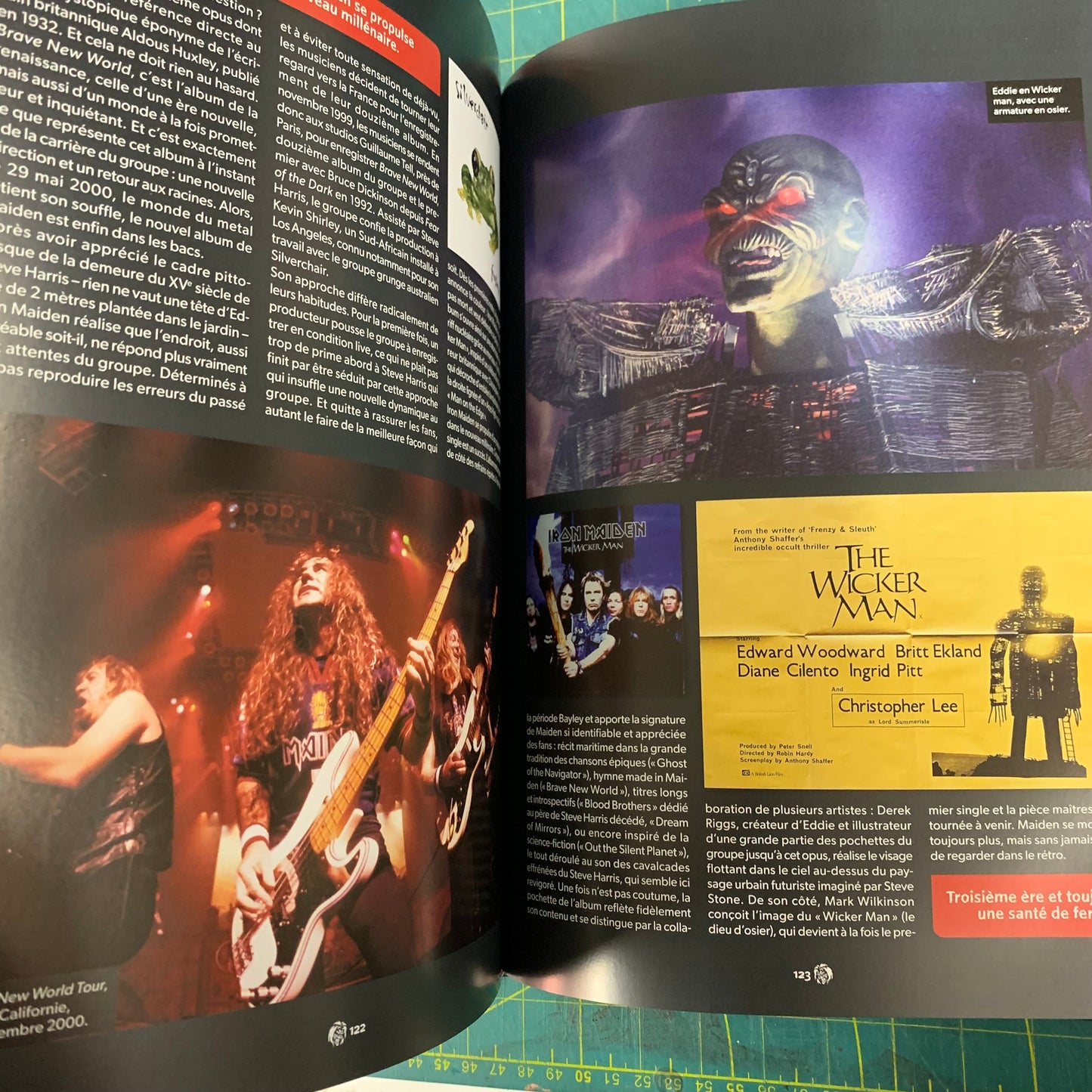 Iron Maiden Up The Irons — Ed. Française