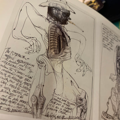 Gonzo The Art — Ralph Steadman