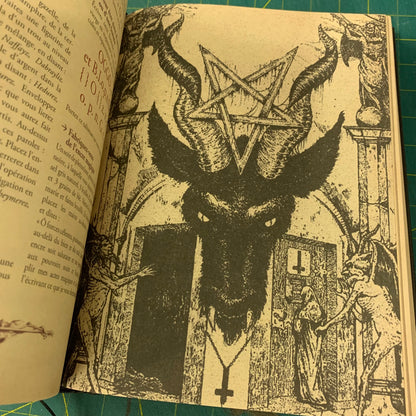 Le Livre Noir de la Sorcière