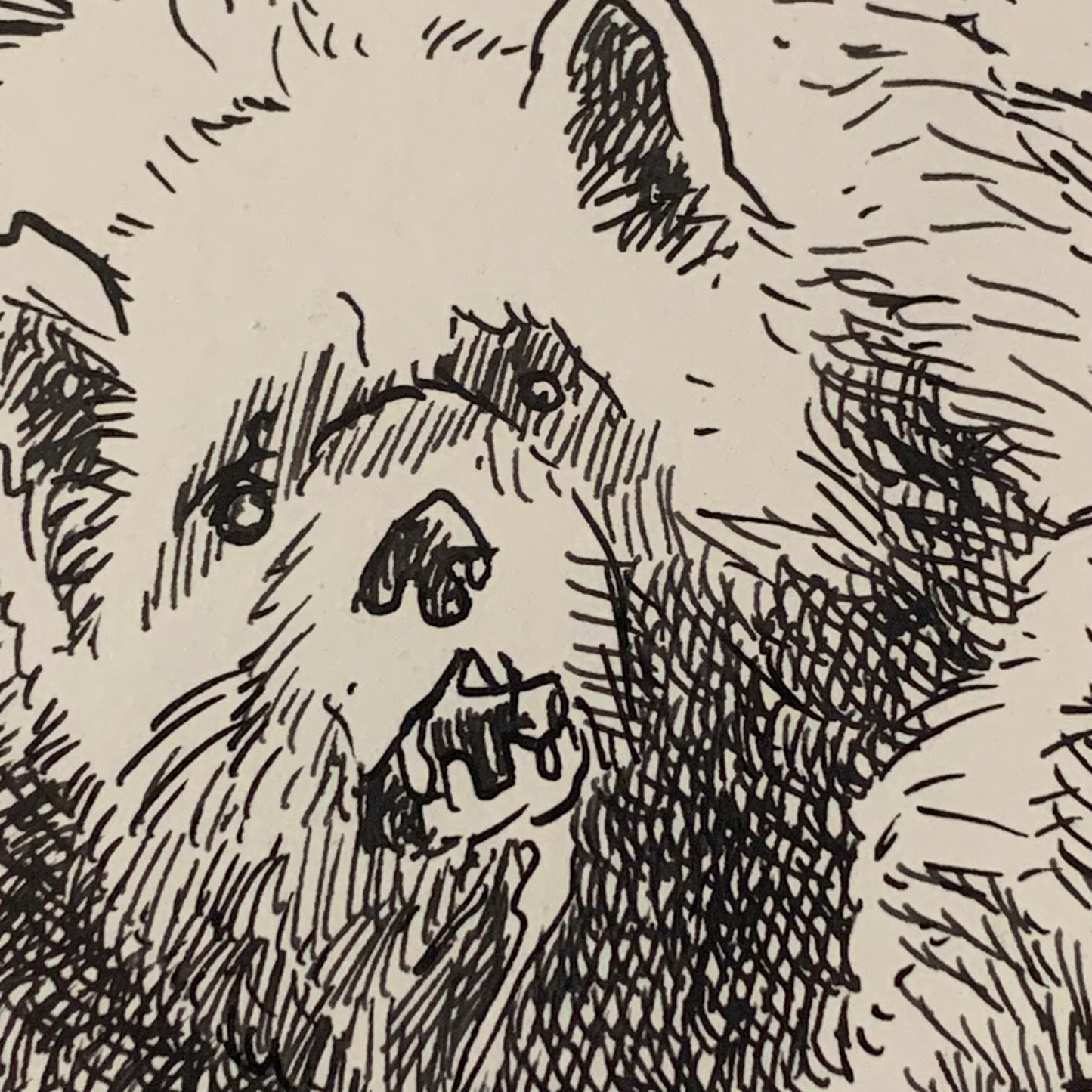 Dessin à la plume — No. 28