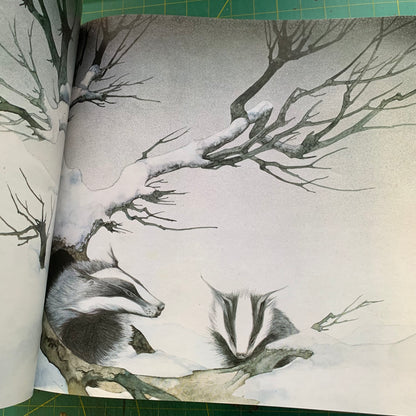 Views : Art and Industrial Design of Roger Dean