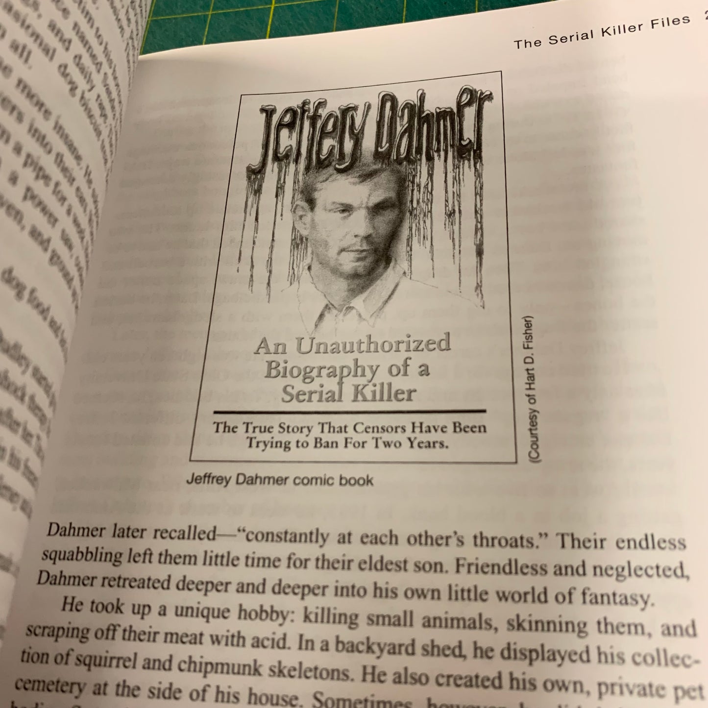 The serial killer files