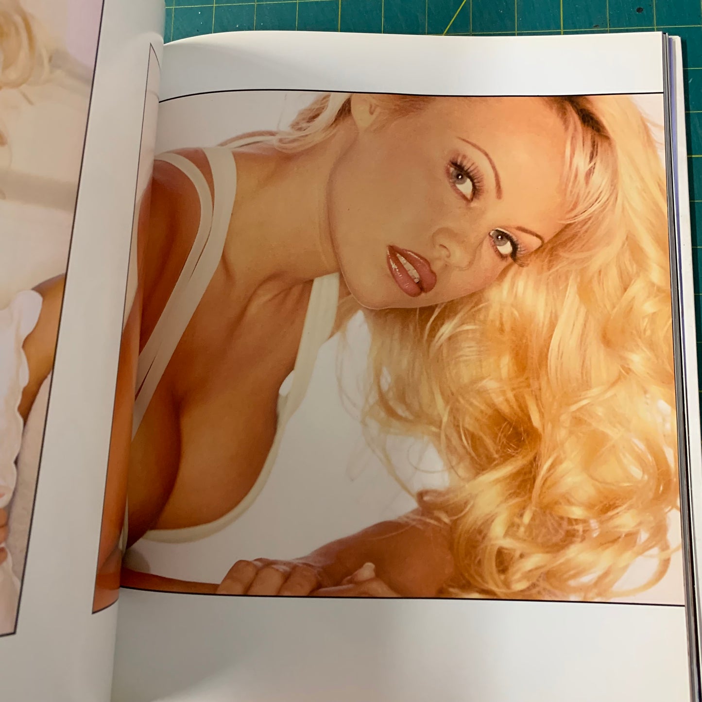 Pamela Anderson (Newlook France)