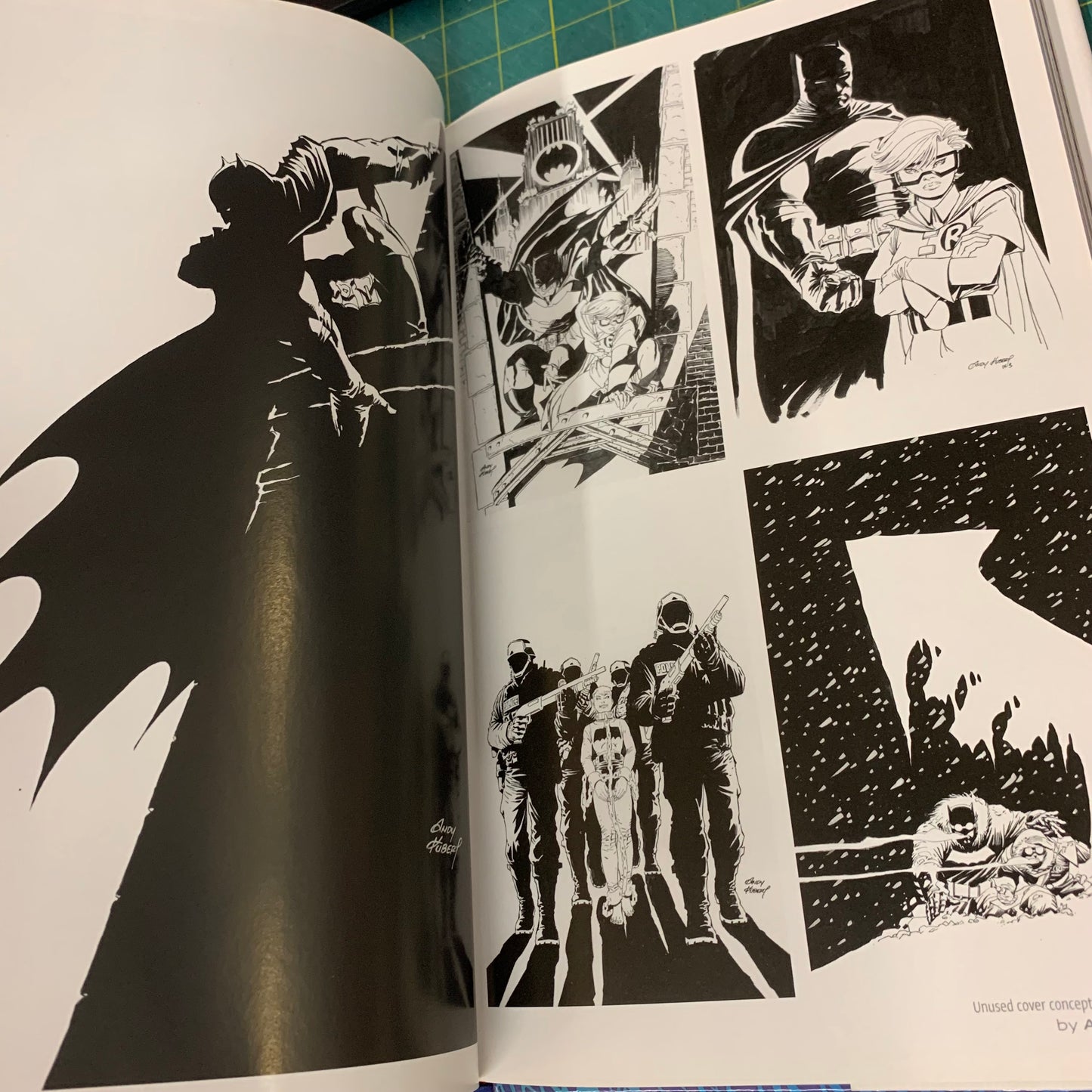 Batman The Dark Knight — Master Race Covers