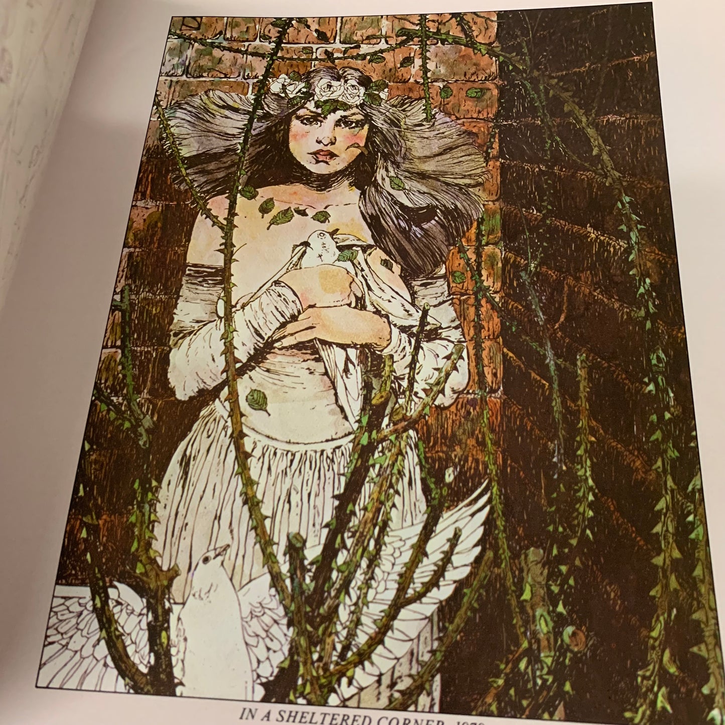 The Studio — Wrightson / Jones / Windsor-Smith / Kaluta