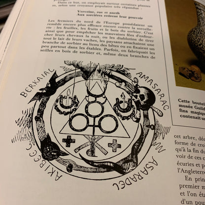 Sorcellerie et Démonologie