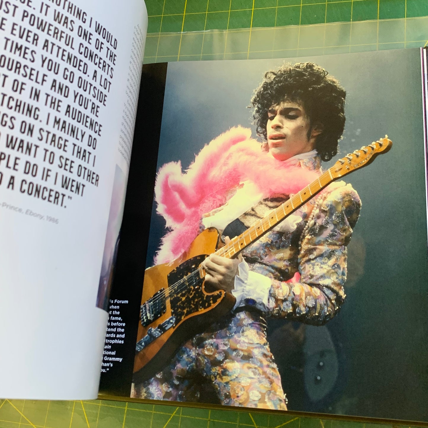 Prince and Purple Rain: 40 Years (Purple velvet slipcase)