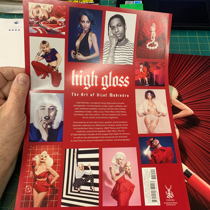 High Gloss — The Art of Vijat Mohindra