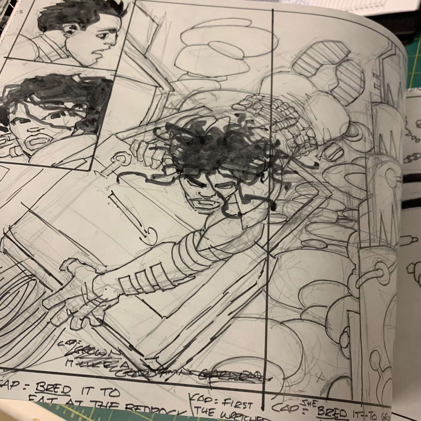 Frank Miller’s Ronin Rising - Collector’s Edition