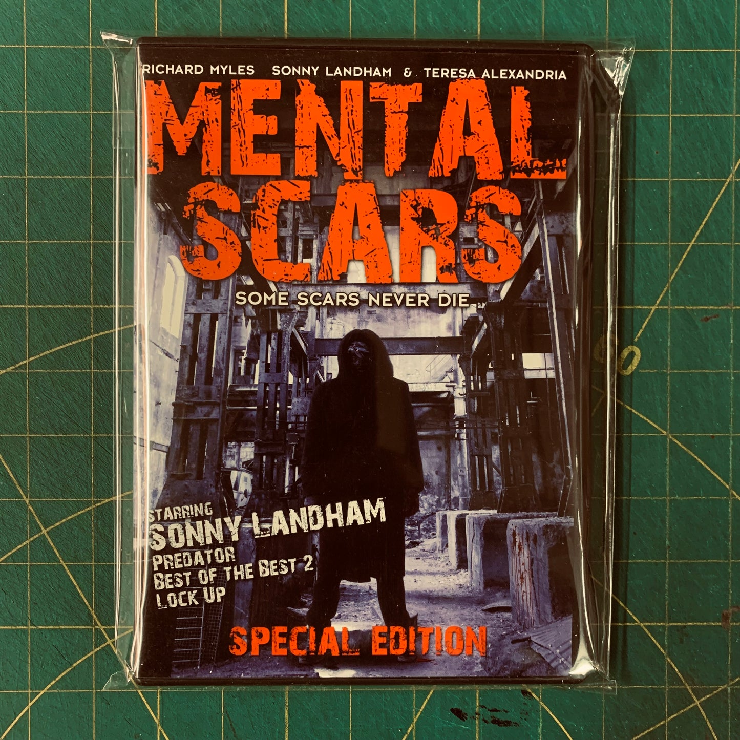 Mental Scars