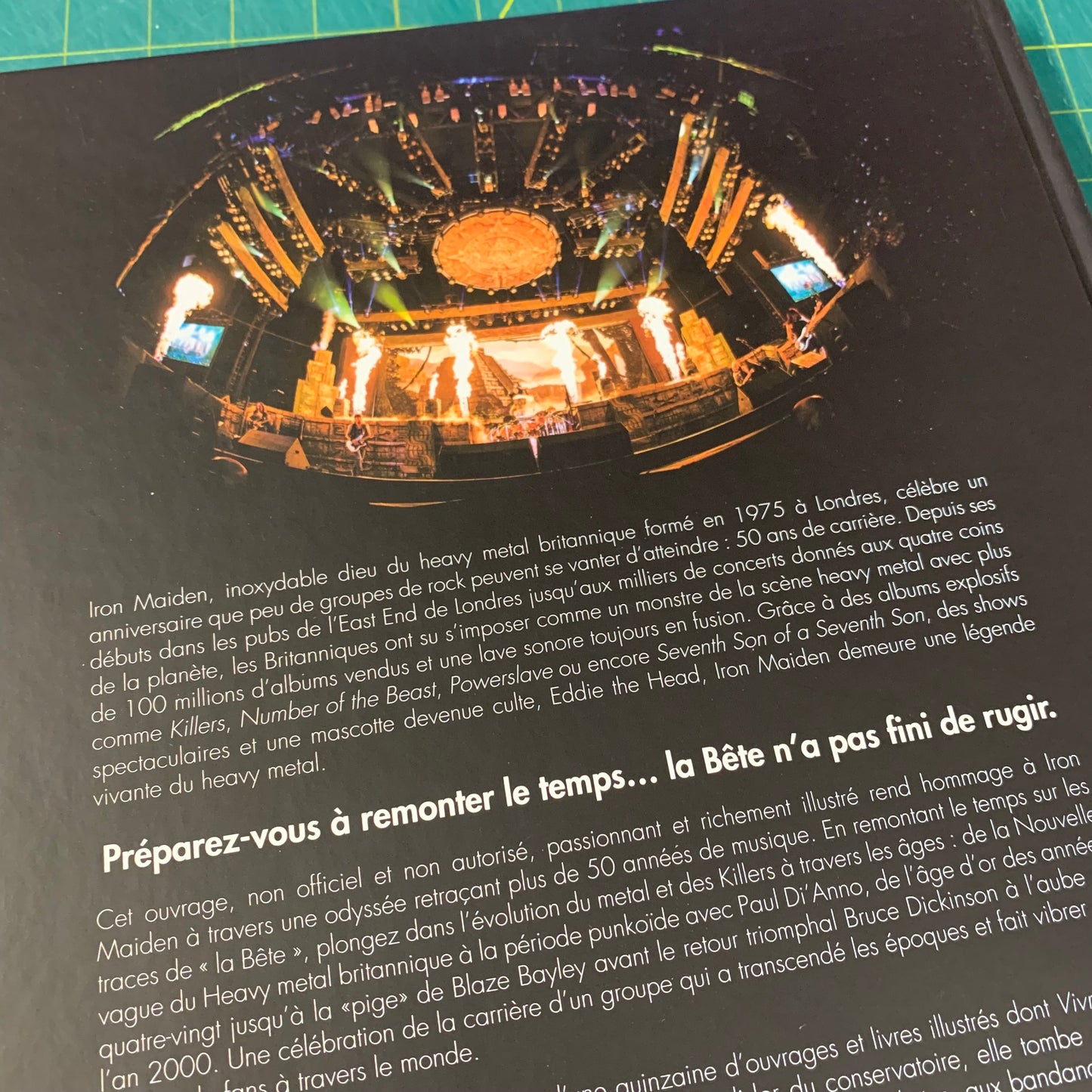 Iron Maiden Up The Irons — Ed. Française