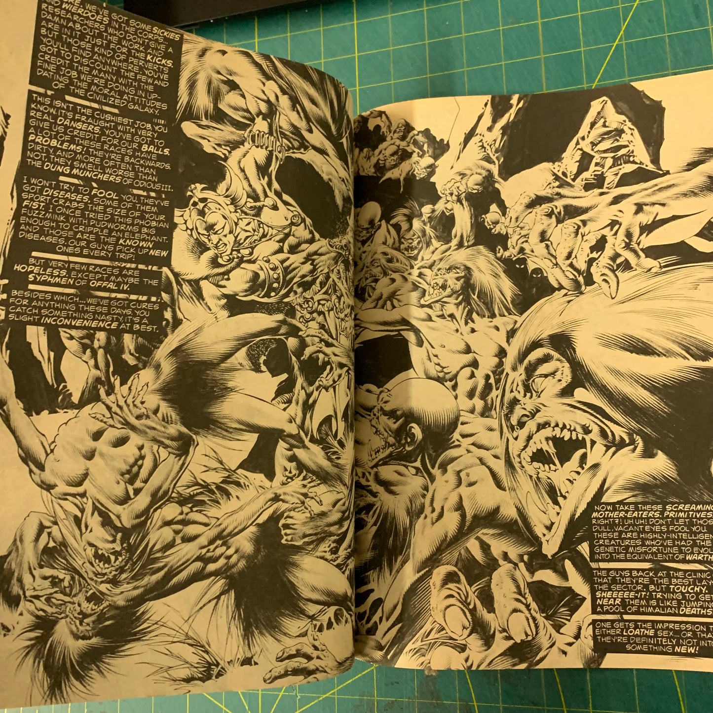 Lot Warren 2 nos. 1984 / 1994