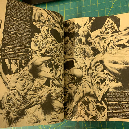 Lot Warren 2 nos. 1984 / 1994