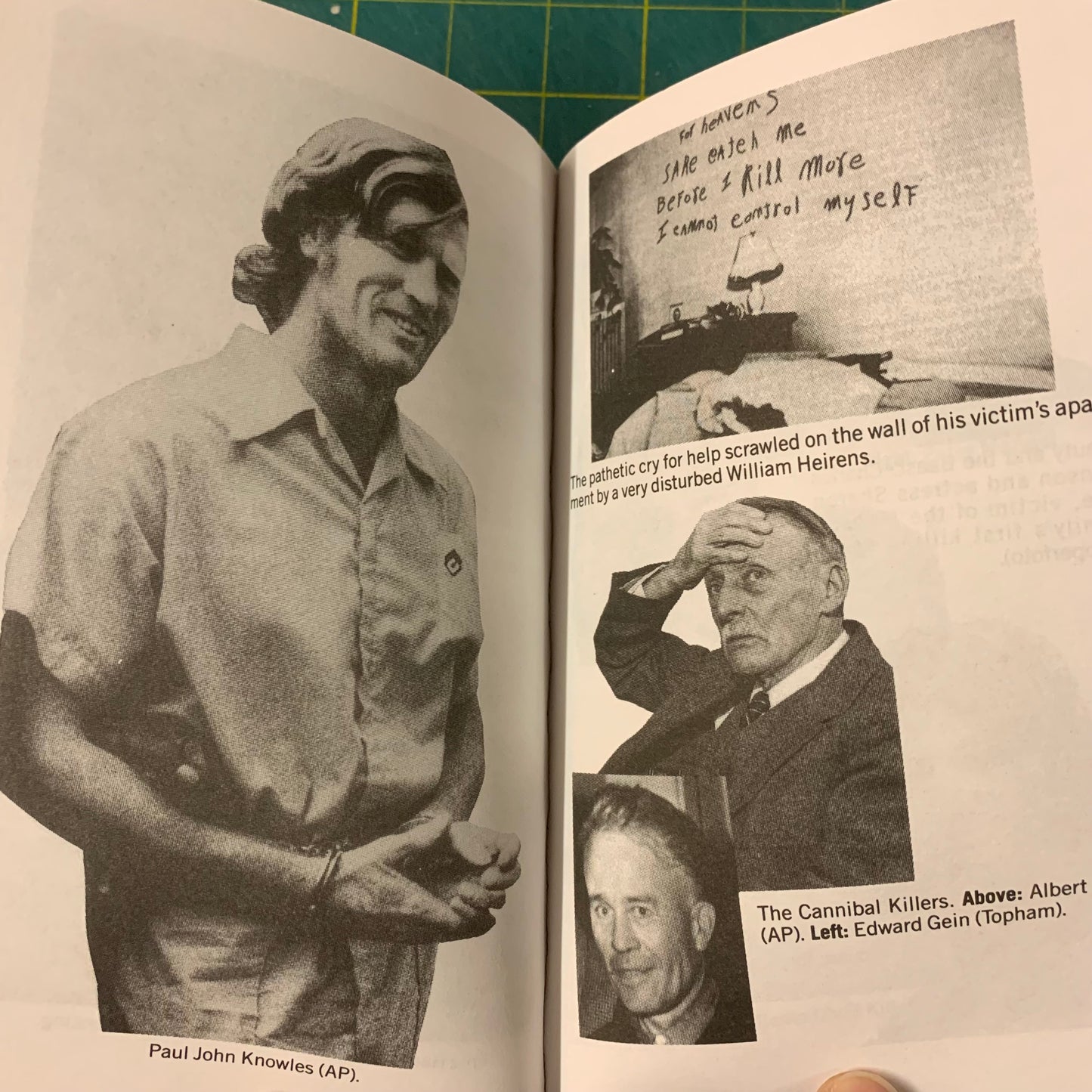 The encyclopedia of serial killers