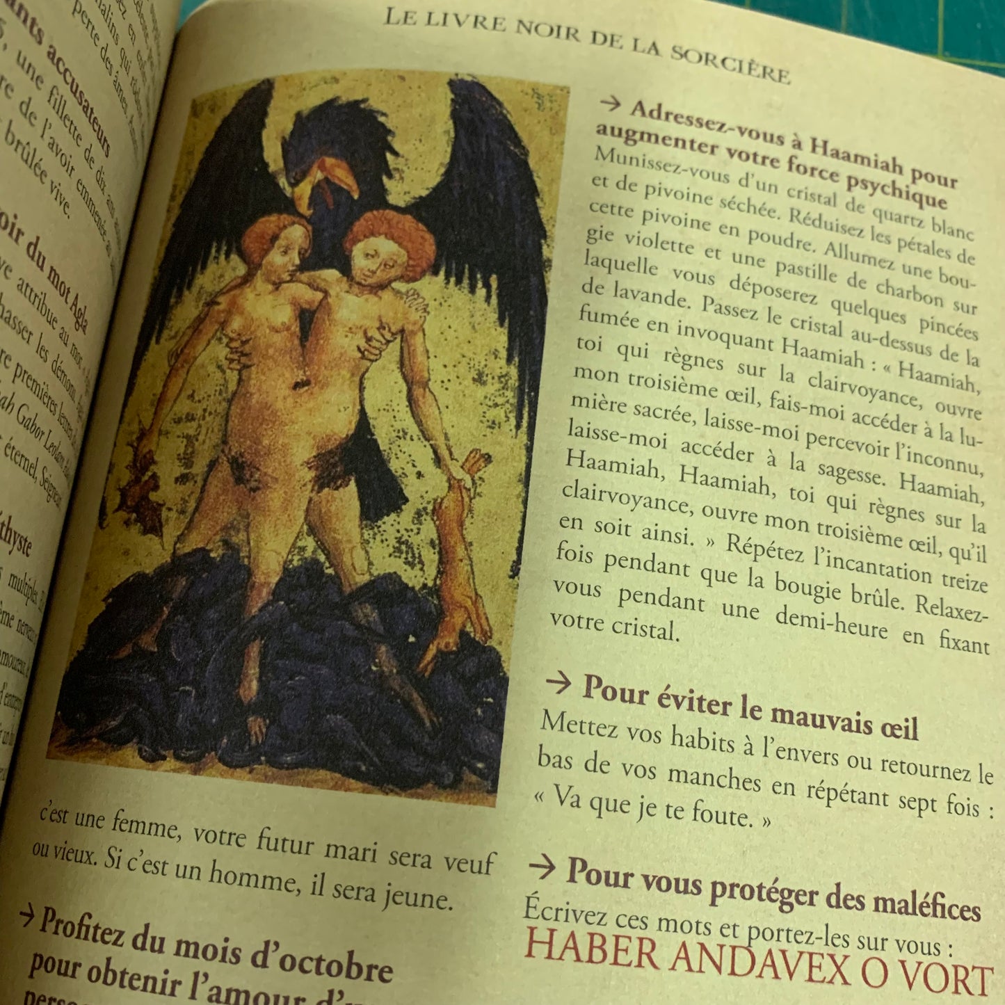 Le Livre Noir de la Sorcière