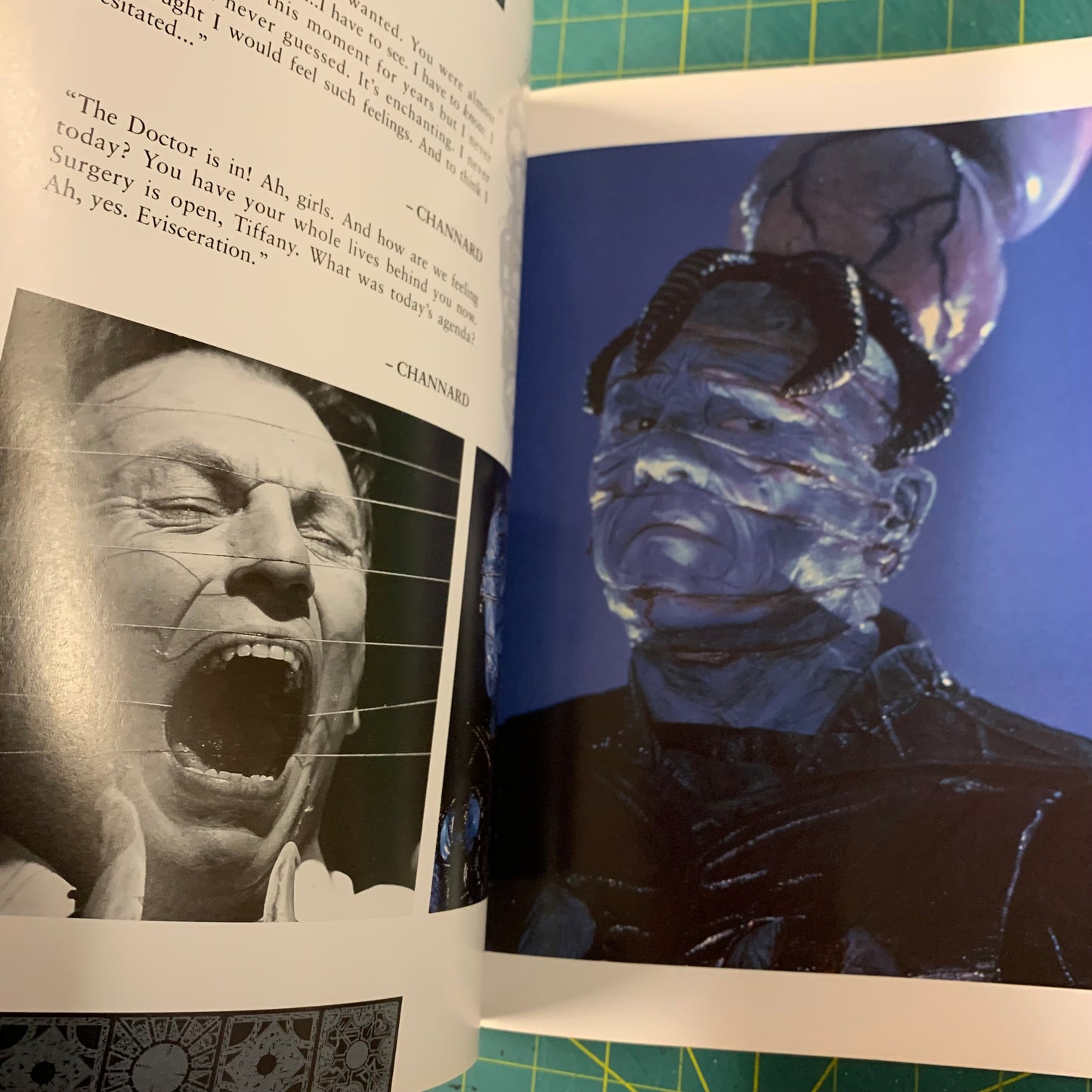 The Hellraiser chronicles