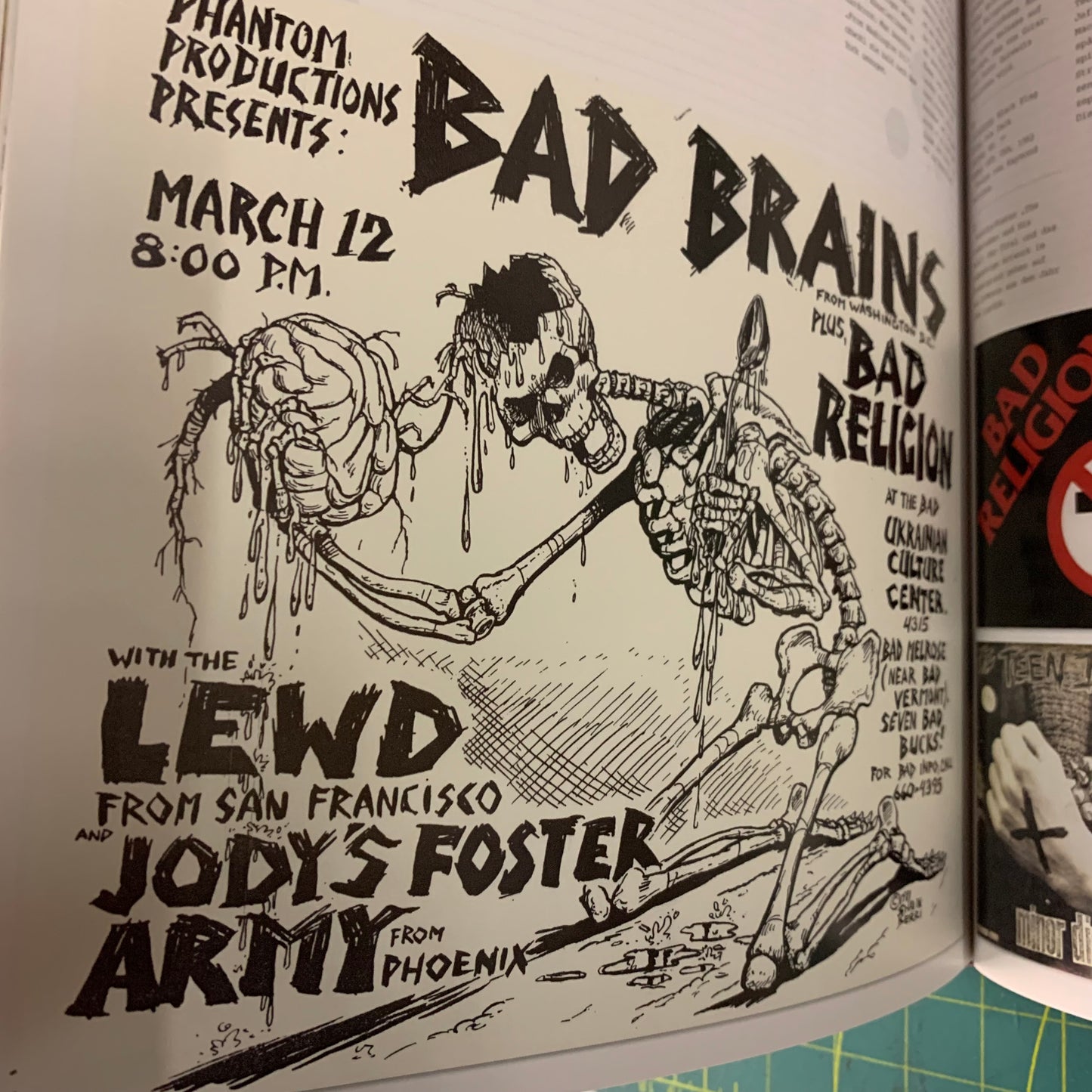 Design Und Punk (German edition The Art of Punk)