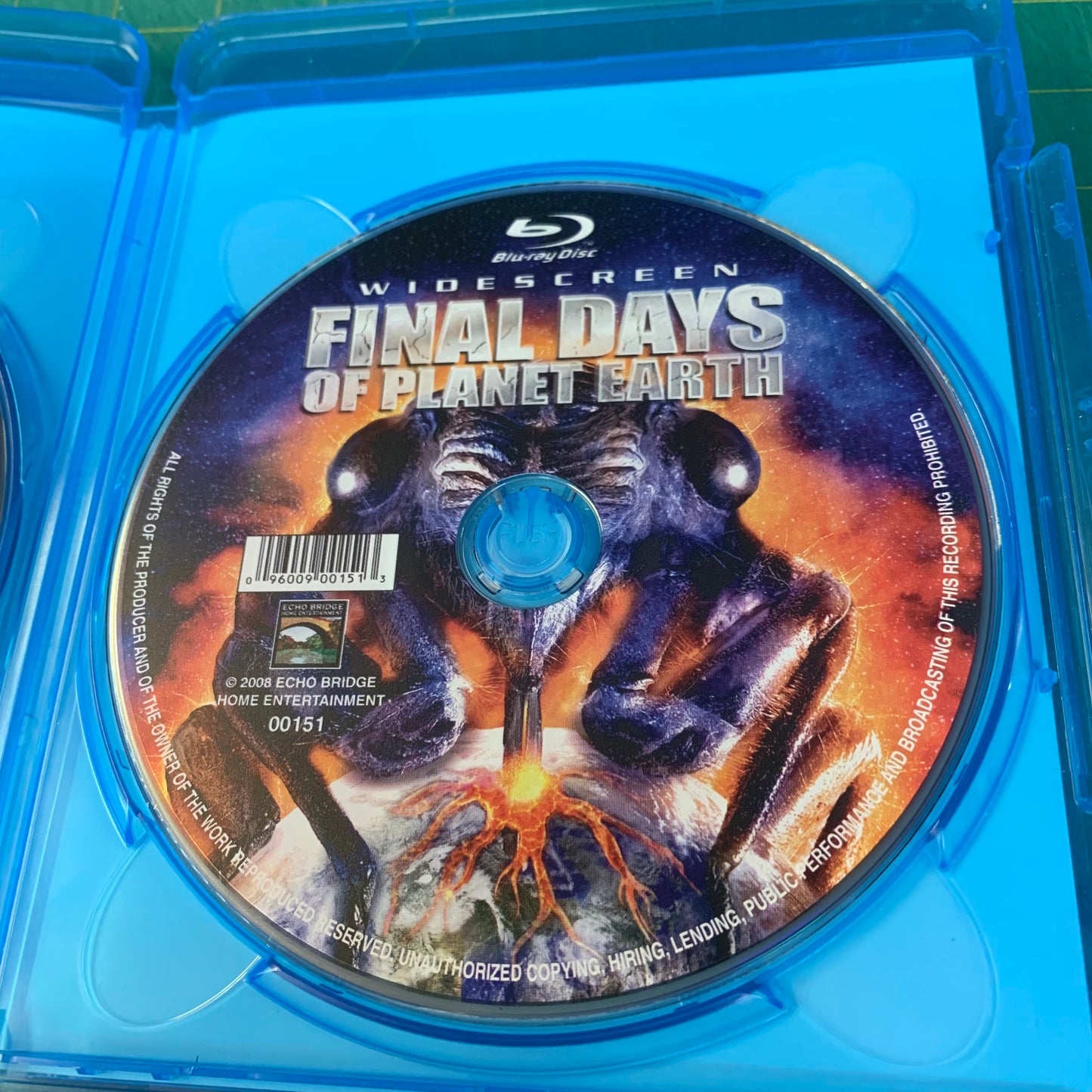 The Last Sentinel / Final Days of Planet Earth