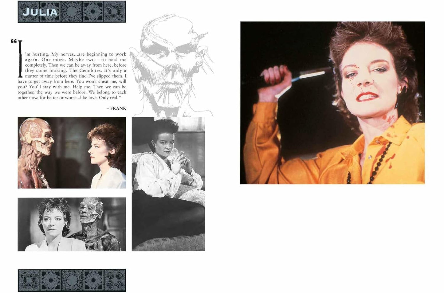 The Hellraiser Chronicles