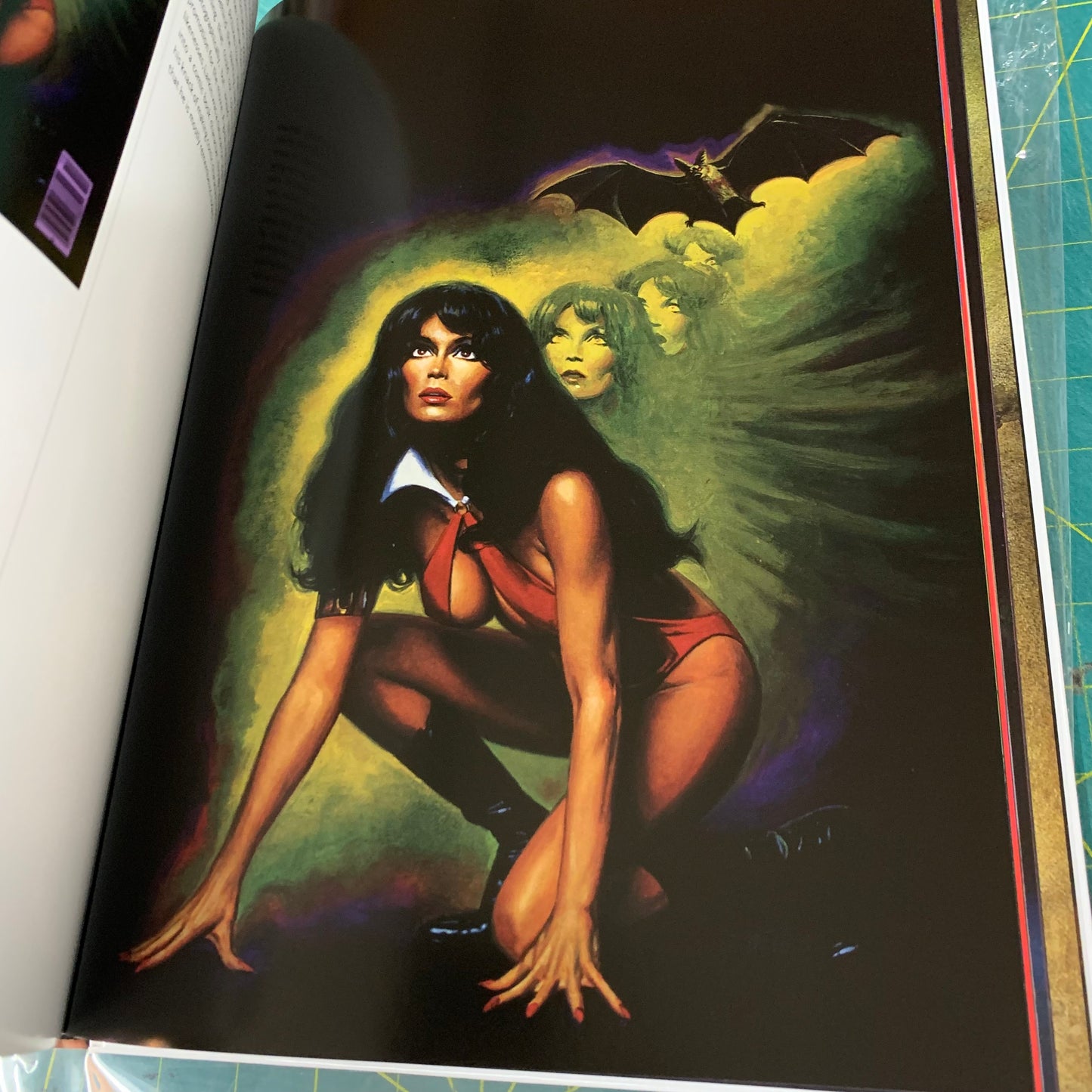 The Art of Vampirella - The Warren Years