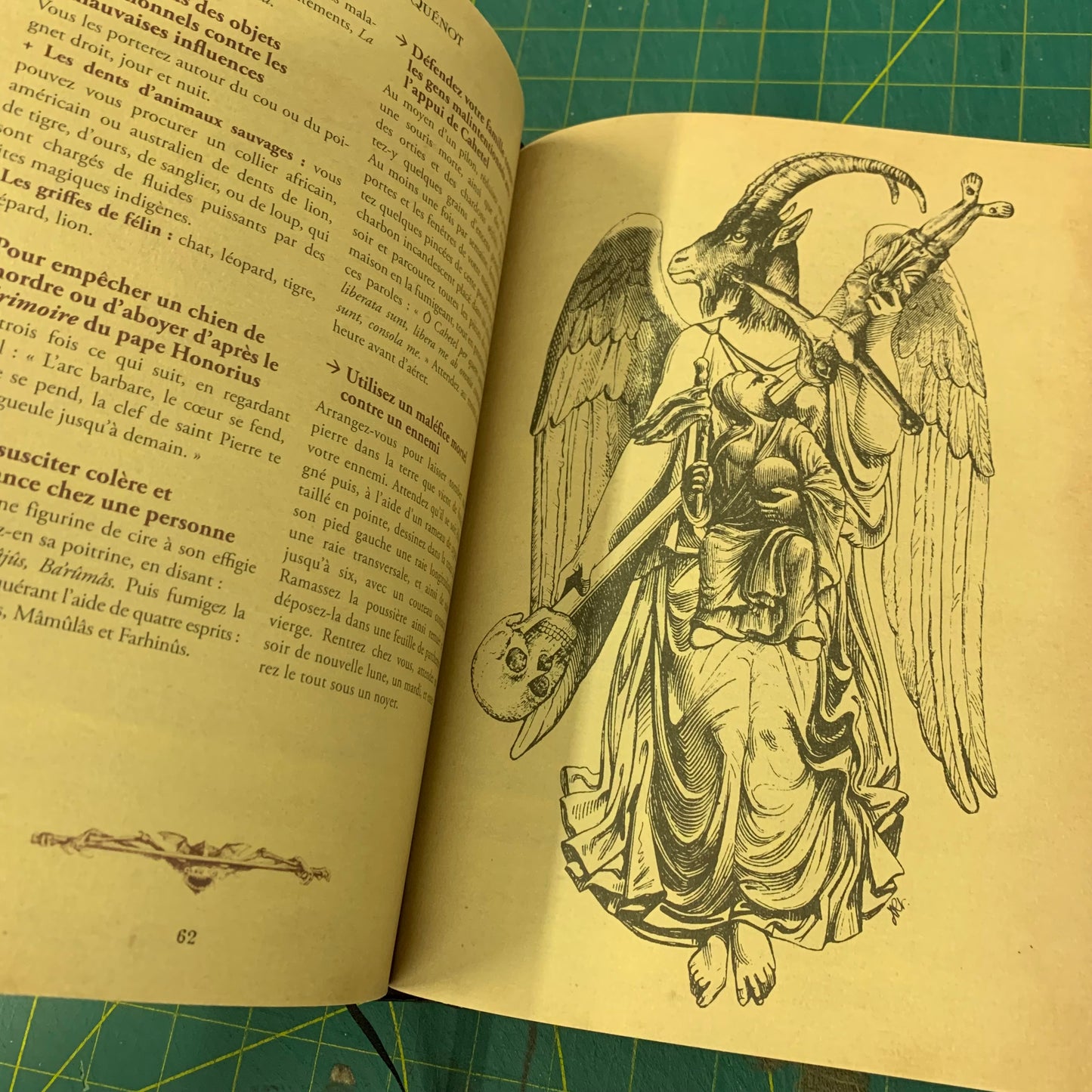 Le Livre Noir de la Sorcière