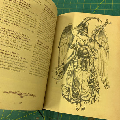 Le Livre Noir de la Sorcière