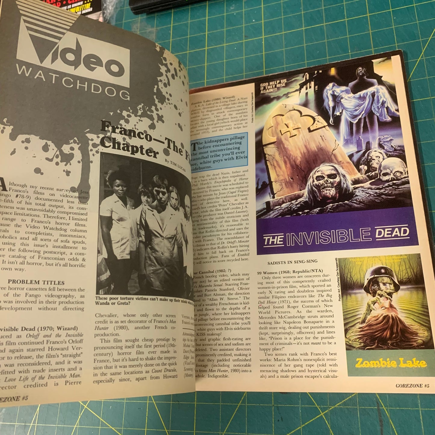 GoreZone no. 5