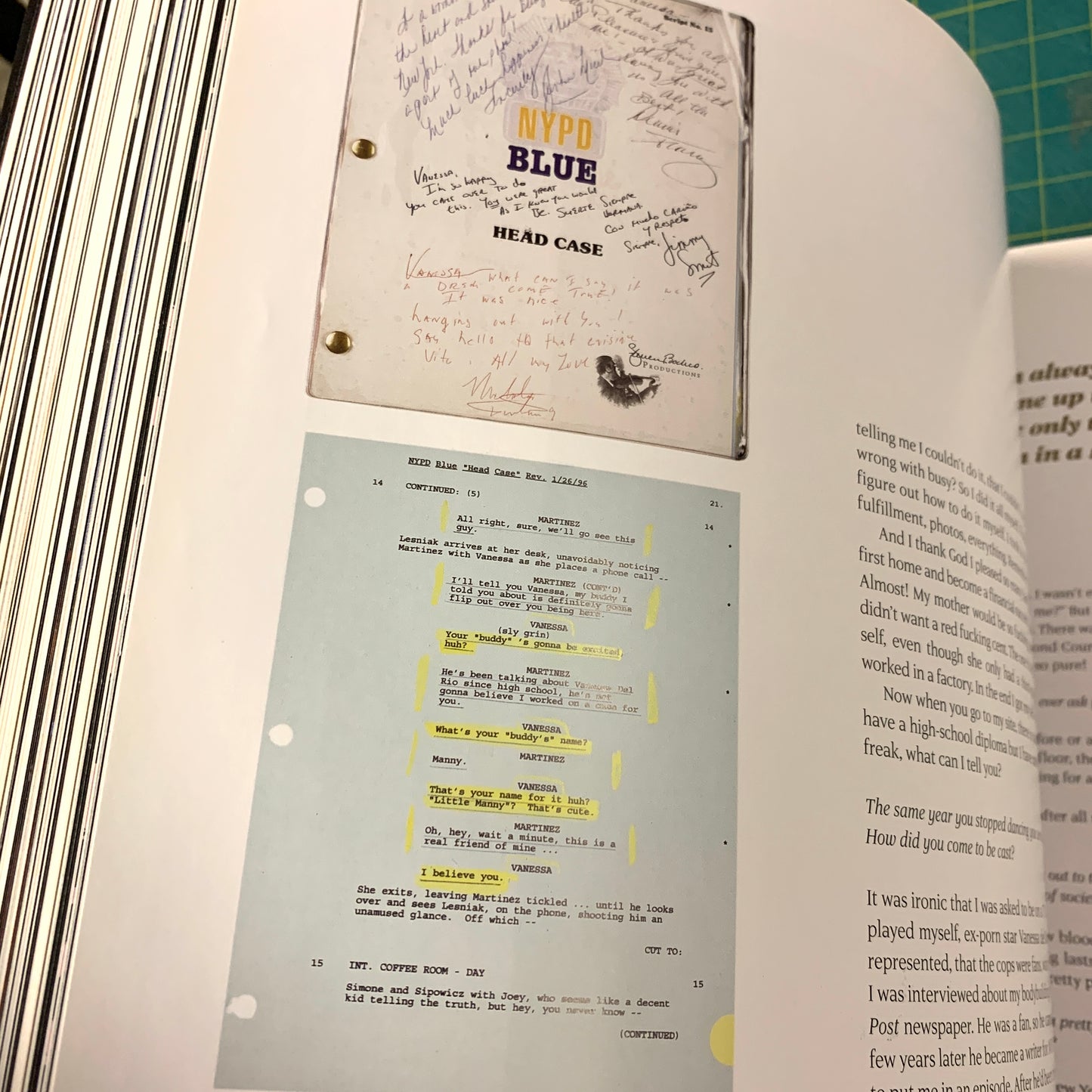 Vanessa del Rio - Fifty years of slightly slutty behavior (Incl. DVD)